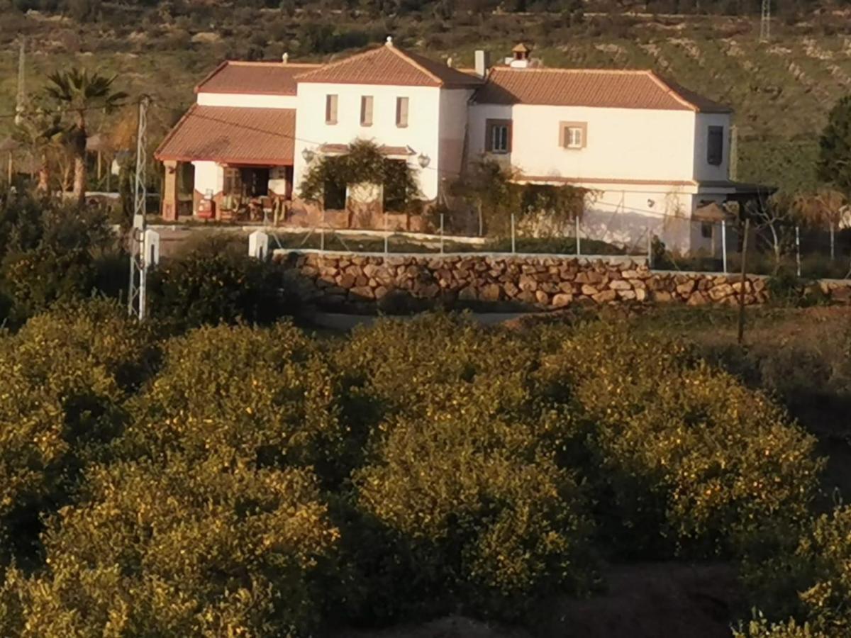 Villa Coino Cártama 외부 사진